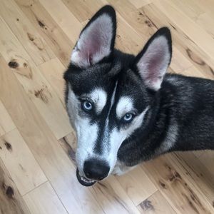 Meet your Posher, Jaime